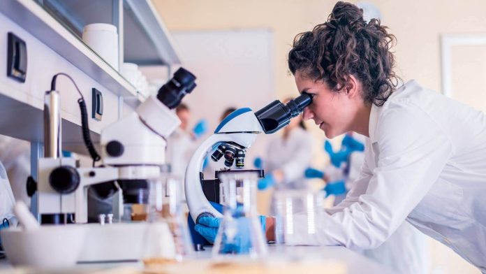 Diferença entre estereomicroscópio e microscópio - Mulher branca, de cabelo castanho cacheado e preso, realizando visualização em microscópio no laboratório.