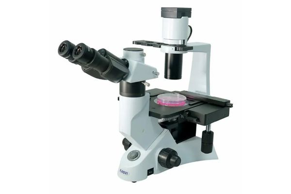 Diferença entre estereomicroscópio e microscópio - Microscópio Biológico Trinocular Invertido - Kasvi.