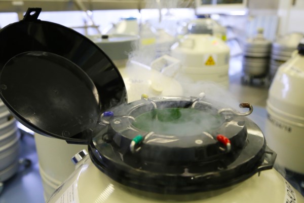 Aplicações do nitrogênio - dewar com tampa aberta em laboratório, com nitrogênio em gás saindo.