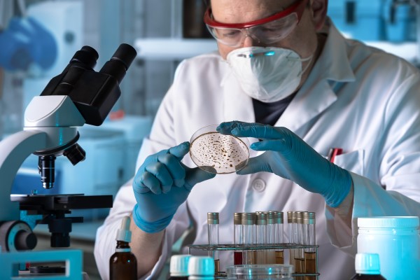 Eventos para laboratorios - cientista com equipamento de proteção individual observa meio de cultura em placa de petri em bancada de laboratório.